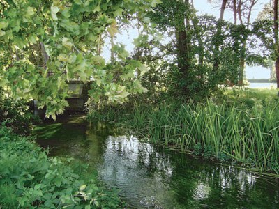 il fiume dei silenzi.jpg