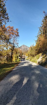 VERZEGNIS PASSEGGIANDO VERSO LA MONTAGNA .jpg