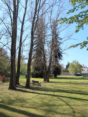 foto 05 parco vd (1).JPG